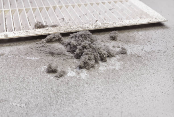 Best Dryer Vent Cleaning Services  in Norwood Young America, MN