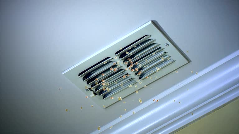 Best Ductwork Cleaning Services  in Norwood Young America, MN