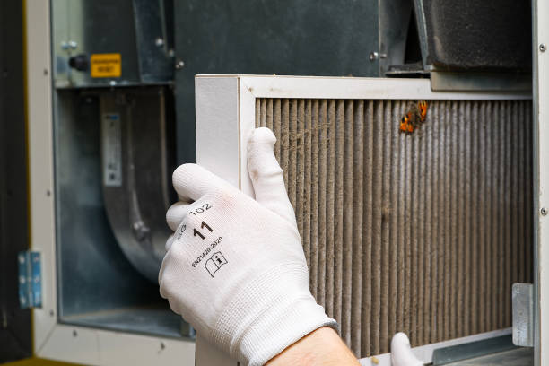 Air Duct Mold Removal in MN