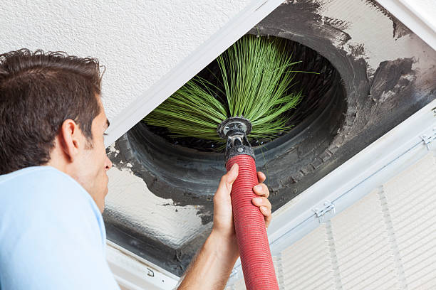 Best Affordable Duct Cleaning Services  in Norwood Young America, MN