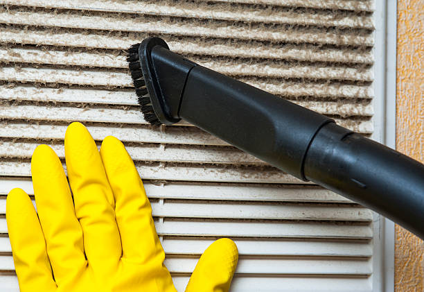 Best Local Air Duct Cleaning Services  in Norwood Young America, MN